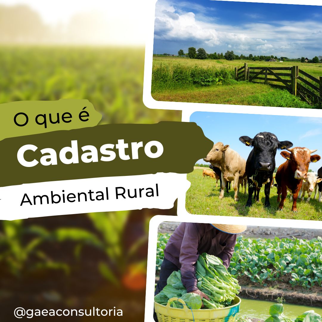 Cadastro Ambiental Rural (CAR): O que é e por que sua propriedade precisa ter