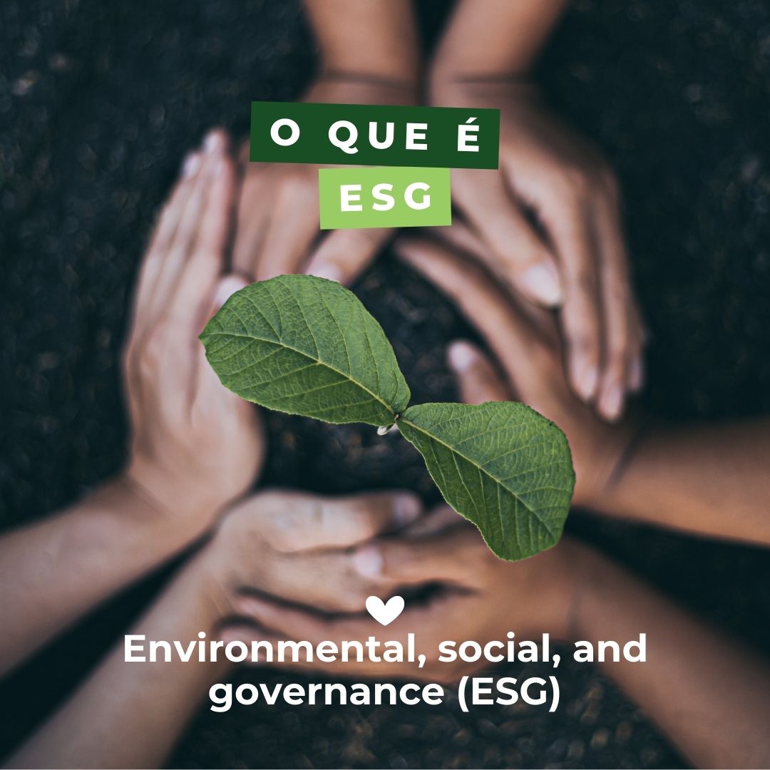 O que é ESG?