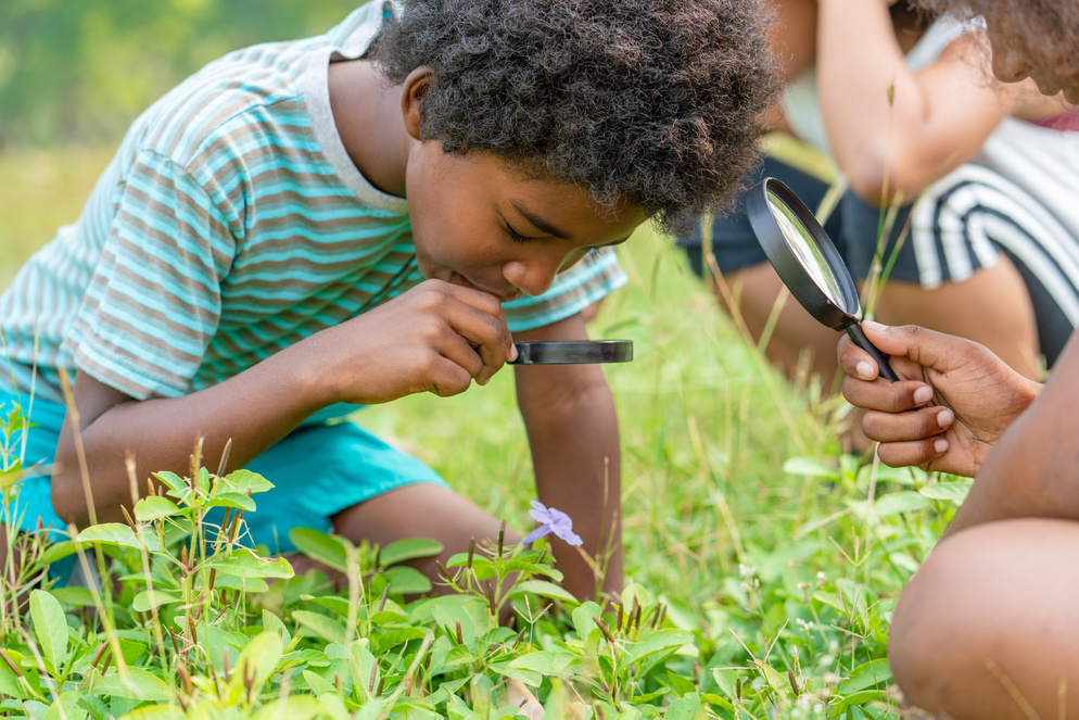 Crianças brincando em um parque com lupas observando insetos